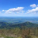 Tannenballett Mit Panorama Ueber Den Schwarzwald In 바이에르스브론