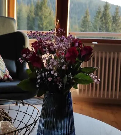 Apartment Tannenballett Im Schwarzwald