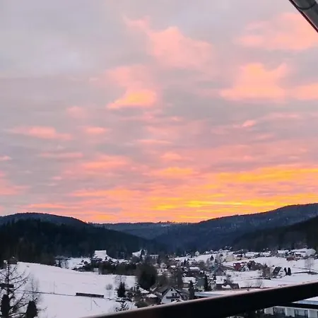 Tannenballett Mit Panorama Ueber Den Schwarzwald In Baiersbronn