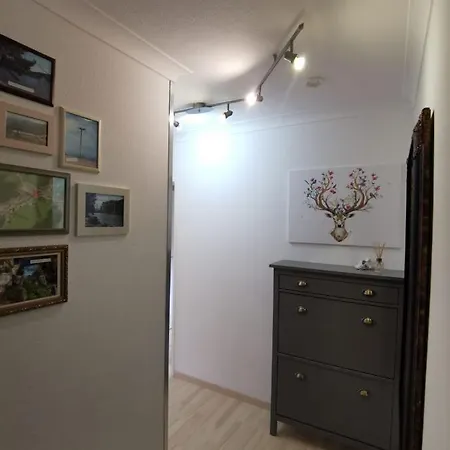 Tannenballett Im Schwarzwald