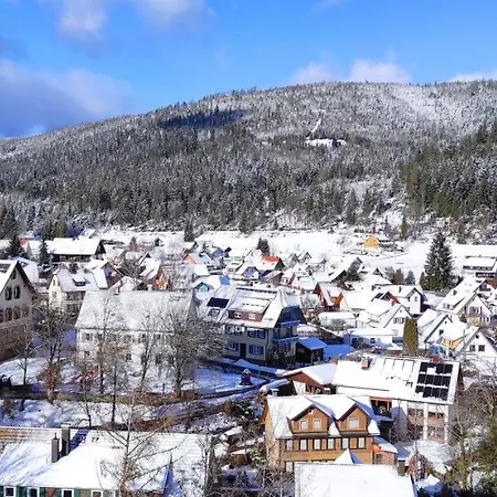 Tannenballett Im Schwarzwald Apartment Baiersbronn