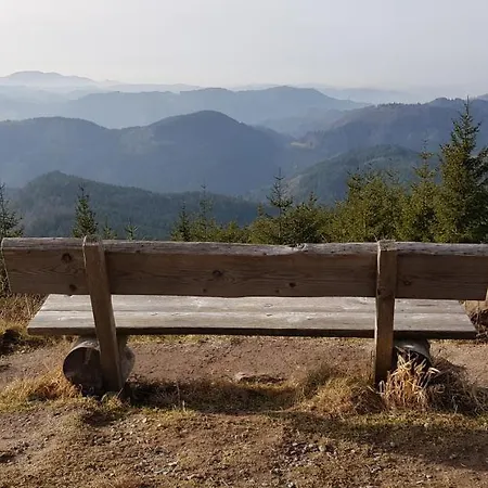 Tannenballett Mit Panorama Ueber Den Schwarzwald In * Baiersbronn