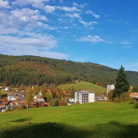 Tannenballett Im Schwarzwald Apartament