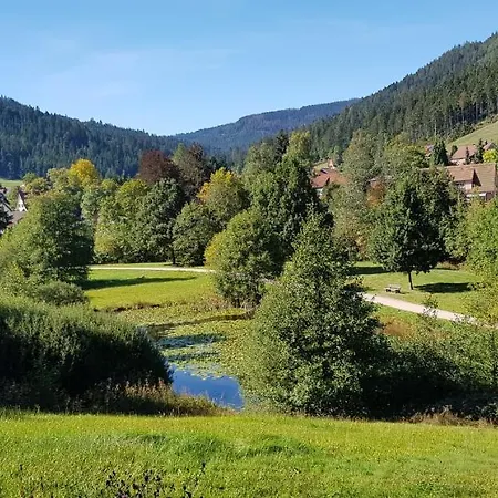 Tannenballett Im Schwarzwald Apartment Baiersbronn