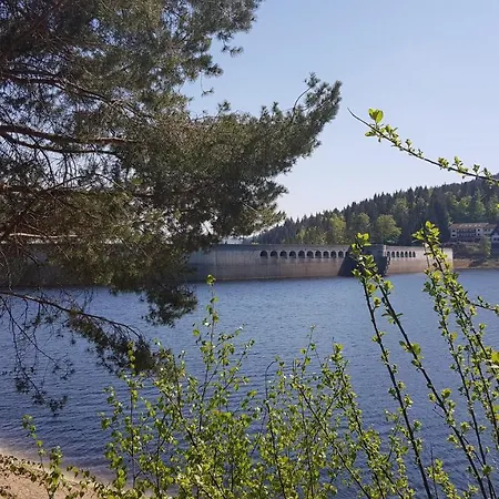 Tannenballett Im Schwarzwald Baiersbronn