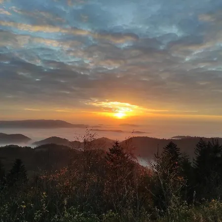 Daire Tannenballett Mit Panorama Ueber Den Schwarzwald In Baiersbronn