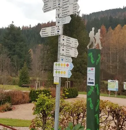 Tannenballett Im Schwarzwald *