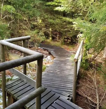 Tannenballett Im Schwarzwald Apartment Baiersbronn