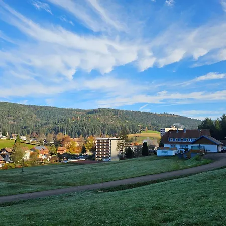 Tannenballett Mit Panorama Ueber Den Schwarzwald In