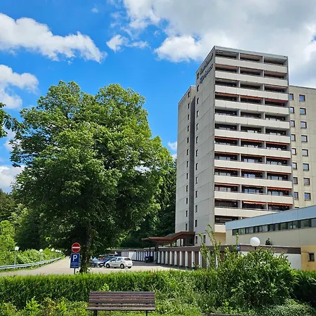 Tannenballett Mit Panorama Ueber Den Schwarzwald In *