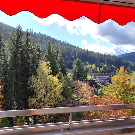 Tannenballett Im Schwarzwald * Baiersbronn