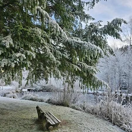Tannenballett Mit Panorama Ueber Den Schwarzwald In * Baiersbronn