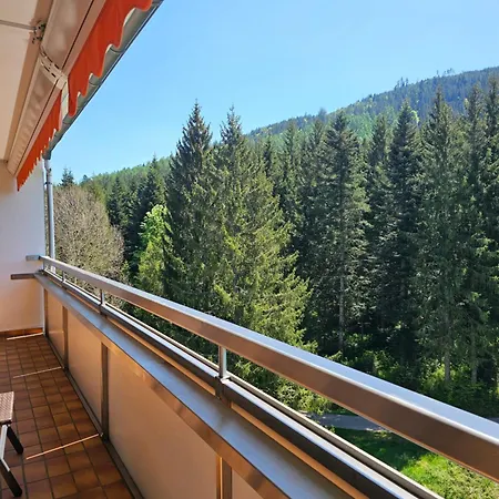 Tannenballett Mit Panorama Ueber Den Schwarzwald In Apartament Baiersbronn