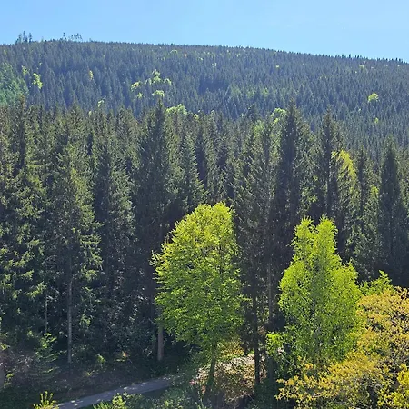 Tannenballett Mit Panorama Ueber Den Schwarzwald In Apartament *