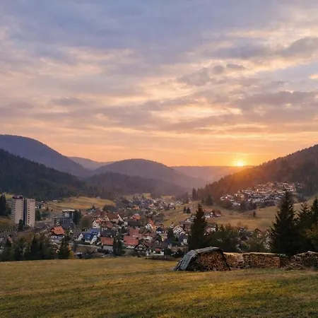 Daire Tannenballett Mit Panorama Ueber Den Schwarzwald In