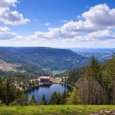 Appartamento Tannenballett Mit Panorama Ueber Den Schwarzwald In