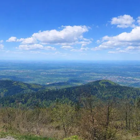 Tannenballett Mit Panorama Ueber Den Schwarzwald In Baiersbronn