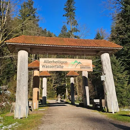 Tannenballett Mit Panorama Ueber Den Schwarzwald In Daire