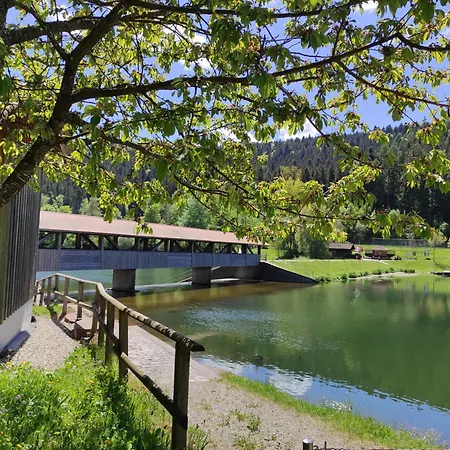 Tannenballett Mit Panorama Ueber Den Schwarzwald In