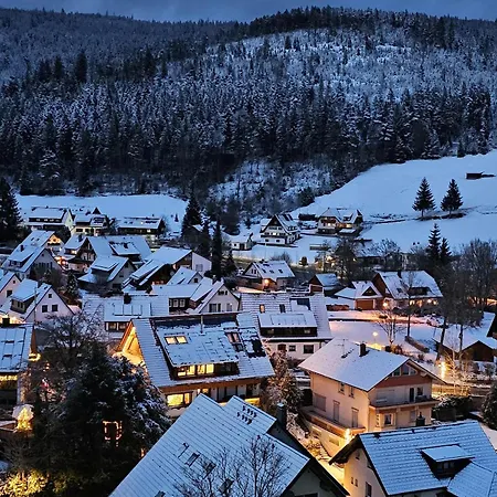 Tannenballett Mit Panorama Ueber Den Schwarzwald In